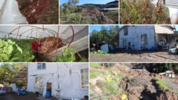 Heyelan, Evleri Ve Seraları Vurdu