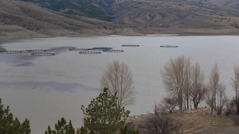 İki Aylık Yağışlar Selevir Barajı'nda Olumlu Değişim Yaratıyor