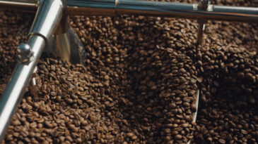 İklim Krizinin Kahve &Uuml;zerindeki Etkileri