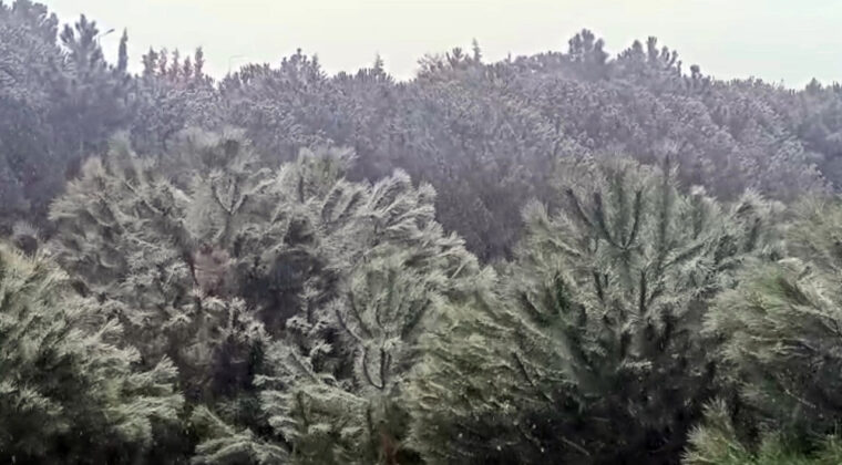 İstanbul'da Kar Yağışı Etkili Olmaya Başladı