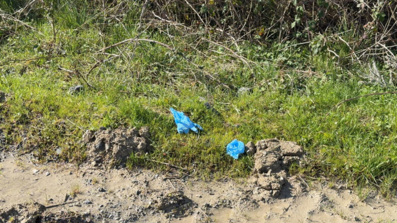 İstanbul'da &Ouml;ld&uuml;rd&uuml;ler, &Ccedil;in'de Yakalandılar