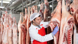 İthalat Et Fiyatlarını D&uuml;ş&uuml;rmeye Yetmedi