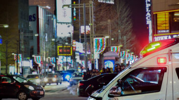 Japonya'da Kış Şartları Nedeniyle 20 G&uuml;nde 35 Can Kaybı