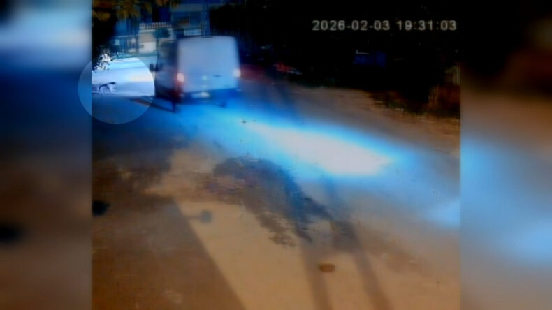 Kamyonet S&uuml;r&uuml;c&uuml;s&uuml;, Havlayan K&ouml;peği Ezdi