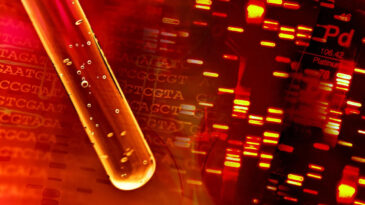 Kanser Taramasında Yeni Bir Umut: Kan Testi Y&ouml;ntemi