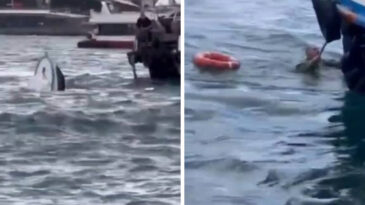 Karak&ouml;y'de Yolcu Vapuru Tekneye &Ccedil;arptı
