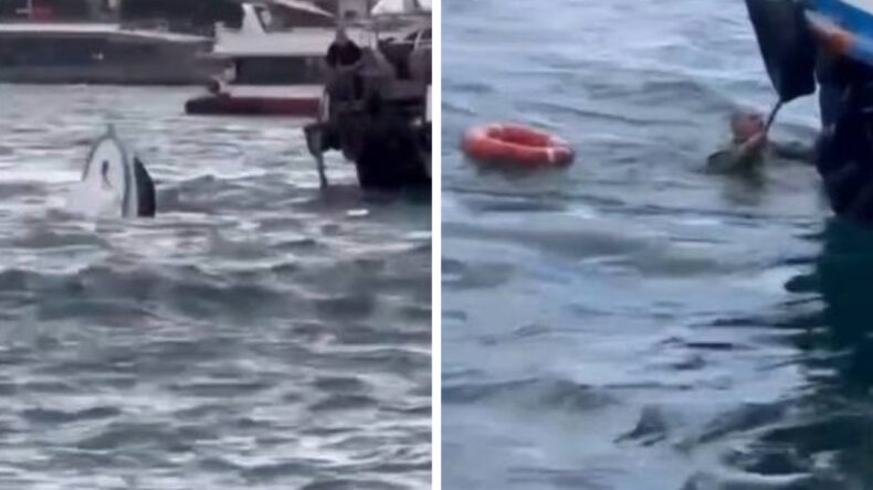 Karak&ouml;y'de Yolcu Vapuru Tekneye &Ccedil;arptı