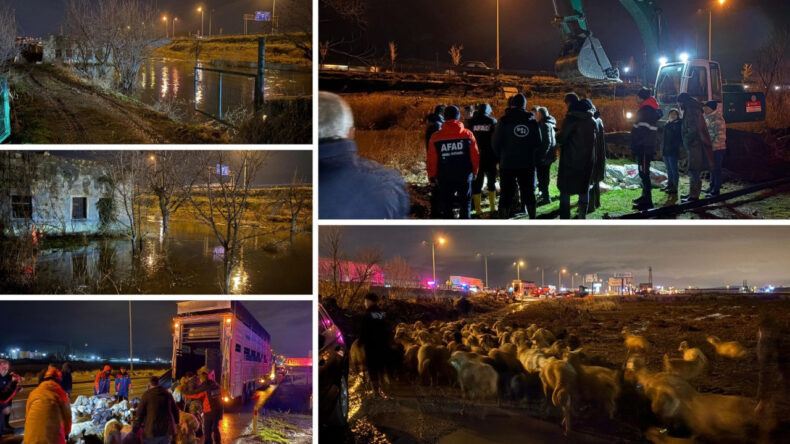 Kayseri&rsquo;de Taşkın Tehdidi: 200 Hayvan Tahliye Edildi