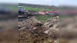 Kopan Elektrik Hattı, İki İneğin Hayatına Mal Oldu: Soruşturma A&ccedil;ıldı