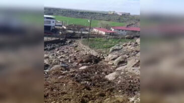 Kopan Elektrik Hattı, İki İneğin Hayatına Mal Oldu: Soruşturma A&ccedil;ıldı