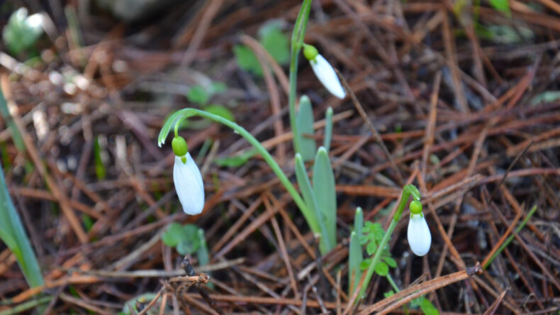 Koparan Yanacak: Ceza 700 Bin Liraya &Ccedil;ıktı
