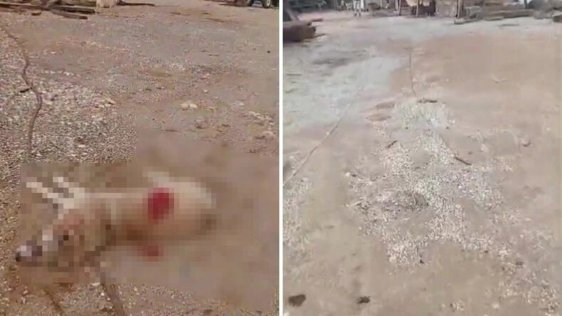 K&ouml;peği Av T&uuml;feğiyle &Ouml;ld&uuml;ren Şahıs, Motosikletle Ka&ccedil;arken Yakalandı