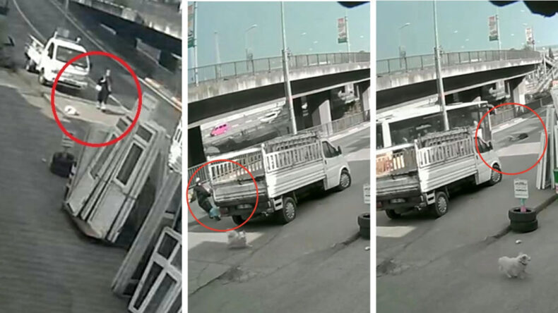 Köpekten Kaçan Üniversite Öğrencisi Otobüsle Çarpıştı: Yoğun Bakımda