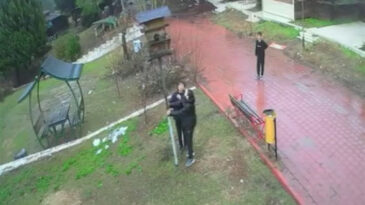 Kuş Yuvasını Par&ccedil;alayan &Ccedil;ocuklara Ev Hapsi Cezası
