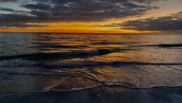 K&uuml;&ccedil;&uuml;k &Ccedil;ocuk 4 Saat S&uuml;resince Y&uuml;zd&uuml; ve Dalgaların S&uuml;r&uuml;klediği Ailesini Kurtardı