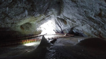 Mağaranın İ&ccedil;inde 5000 Yıllık Antibiyotiğe Diren&ccedil;li Bakteri Bulundu