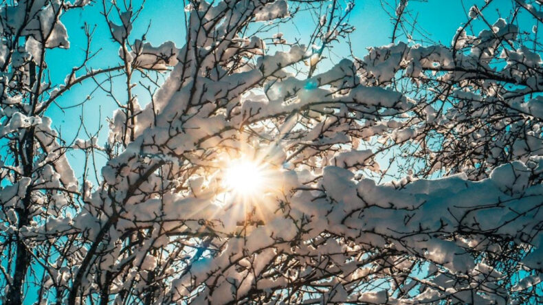 Meteoroloji: En y&uuml;ksek sıcaklık Yalova'da kaydedildi