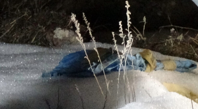 Mezarlıkta &Ccedil;&ouml;p Poşeti İ&ccedil;inde Cenin Bulundu