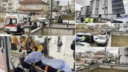 Miras İ&ccedil;in Hollanda'dan Geldi, &Ccedil;ıkan Kavgada Ağabeyine Kurşun Yağdırdı