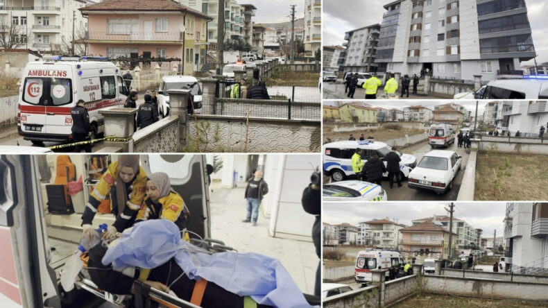 Miras İ&ccedil;in Hollanda'dan Geldi, &Ccedil;ıkan Kavgada Ağabeyine Kurşun Yağdırdı