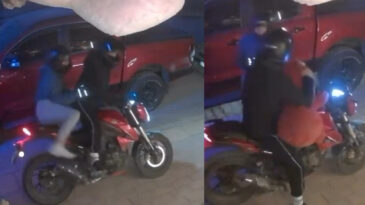 Motosikletli Peluş Ayı Soygunu