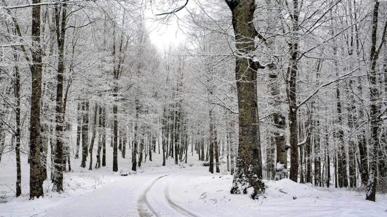 Ordu'daki 15 İl&ccedil;ede Eğitime Kar Engeli