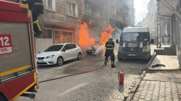 Park Halindeki Ara&ccedil; Alev Alev Yandı