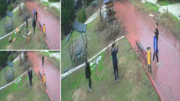 Parktaki Kuş Yuvasını Par&ccedil;aladılar