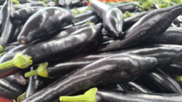 Patlıcanın tadını ka&ccedil;tı…