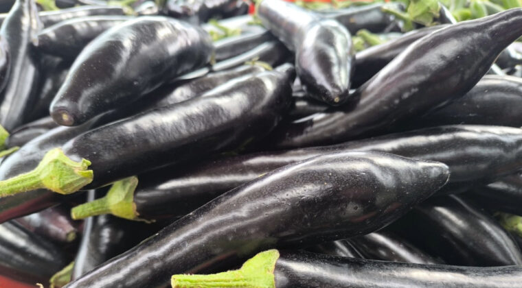 Patlıcanın tadını ka&ccedil;tı…