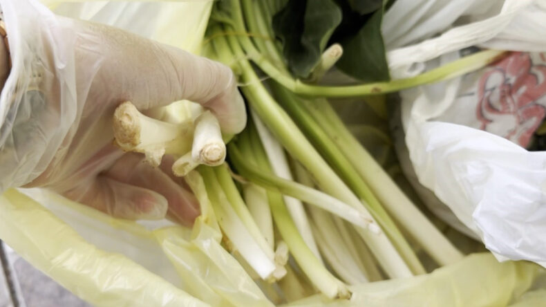 Pazı Diye Aldı, Zehirli Ot &Ccedil;ıktı: Zehirlemeye 1 Lokması Yetti