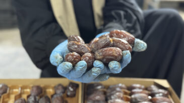 Ramazan'ın İlk G&uuml;n&uuml;nde Dikkat: İsrail'in Hurma Pazarlama Y&ouml;ntemleri