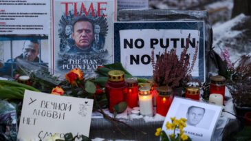 Rusya'dan Navalni Su&ccedil;lamalarına Cevap