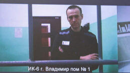 Rusya'dan Zehirli Kurbağa İddialarına Sert Yanıt