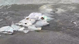 Sahil Sularında İnşaat Atıkları Bulundu