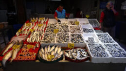 Sezonun Sonunda Hamsi S&uuml;rprizi