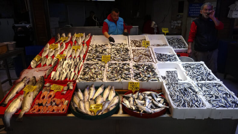 Sezonun Sonunda Hamsi S&uuml;rprizi