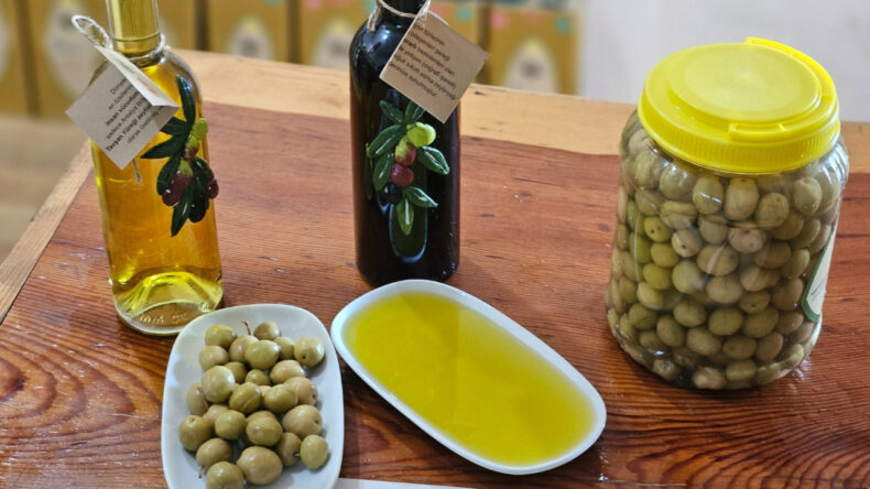 Tavşan Y&uuml;reği Zeytinyağının Kemoterapiyle Benzer Etkileri İspatlandı