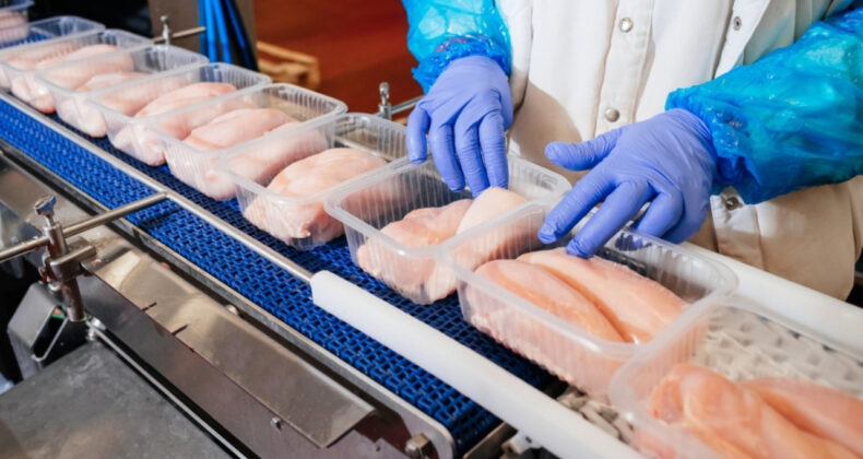 Tavuk İhracatında Durdurma Kararı