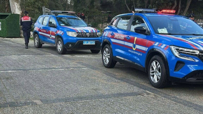 Tavuklarını yiyen k&ouml;pekleri &ouml;ld&uuml;ren kişi tutuklandı