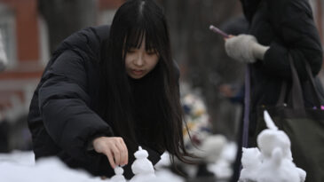 Tokyo'da Yılın İlk Karı Yağdı