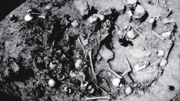 Toplu Mezardan &Ccedil;ıkan Dehşet: Kadın ve &Ccedil;ocuklar Sistematik Şekilde Katledilmiş