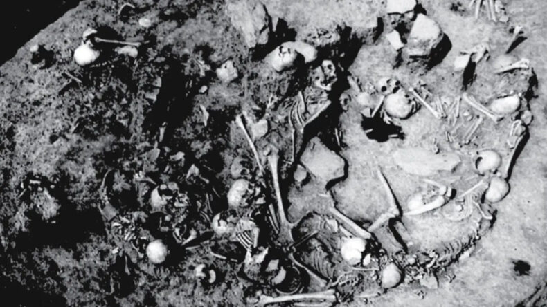 Toplu Mezardan &Ccedil;ıkan Dehşet: Kadın ve &Ccedil;ocuklar Sistematik Şekilde Katledilmiş