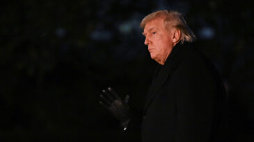 Trump: İsrail'in İlhalini Desteklemiyorum