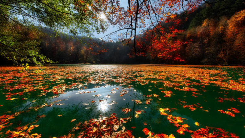 Türkiye'de 692 Korunan Alan Var