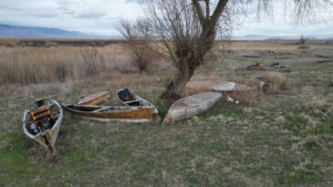 T&uuml;rkiye&rsquo;nin En B&uuml;y&uuml;kleri Arasında: Geriye Terk Edilmiş Tekneler Kaldı