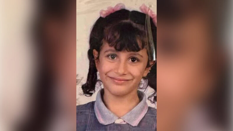 Üzerine koltuk düşen Ebrar'ın ölümü davasında sanıklar için hapis talebi