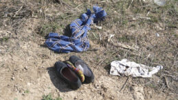 &Uuml;z&uuml;c&uuml; Kaza: Gelincik Toplarken Hayatını Kaybetti