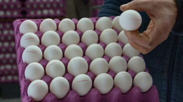 Uzman Uyardı: İki Kat Fiyatına Satılan &Uuml;r&uuml;nlere Dikkat