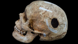 Viking D&ouml;neminden Kalma Kafatası Arkeologları Şaşırttı